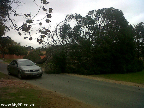 Port Elizabeth Wind Port Elizabeth Wind