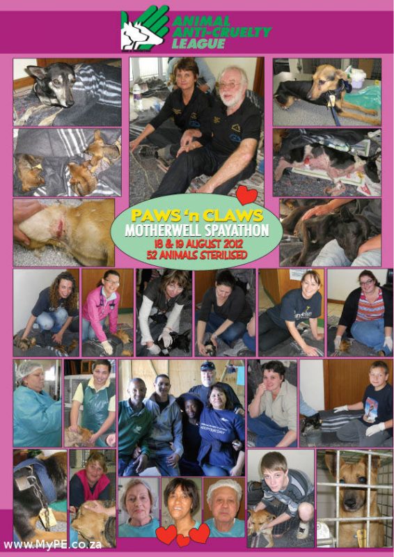 Paws 'n Claws Motherwell