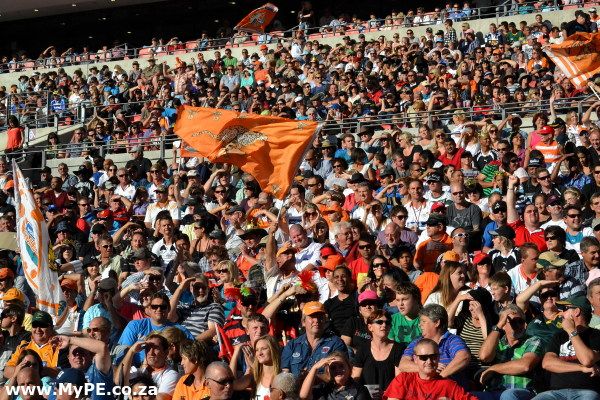 Cheetahs Fans