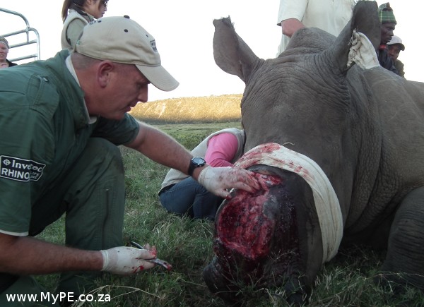 Rhino Thandi 11 June 2013