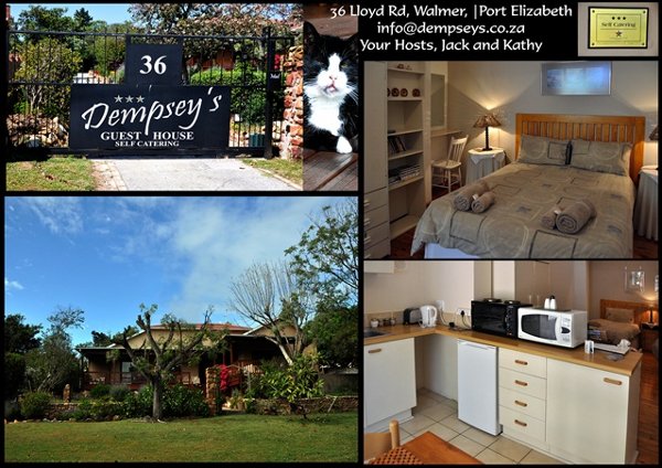 Dempseys Guest House Blog