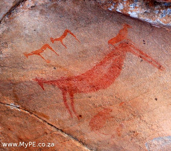 Bushman Paintings