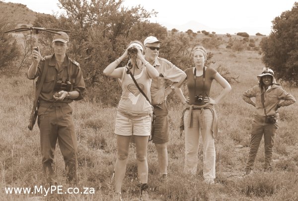 Cheetah Tracking