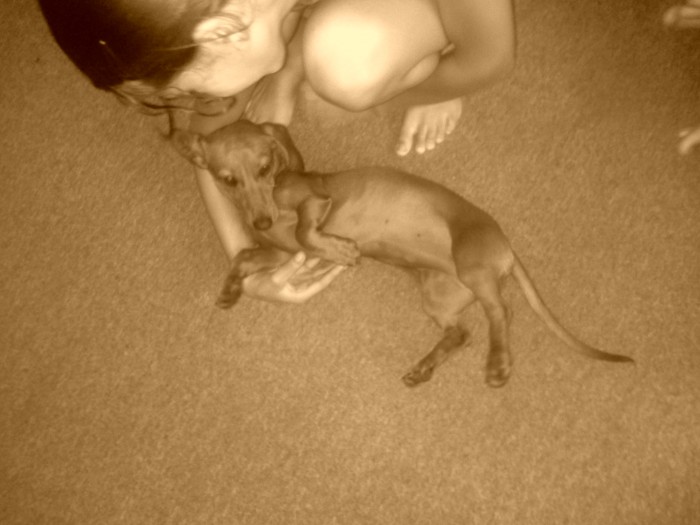 GeeGee, Lost Daschund