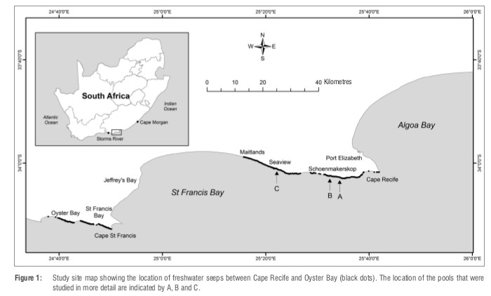 Stromatolite Location