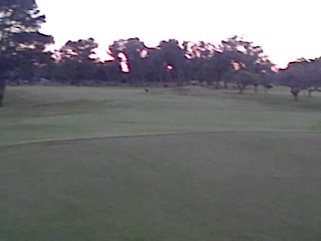 Golf - Port Elizabeth Golf Club, 11th Hole - 130m, Gap Wedge (52 degree)