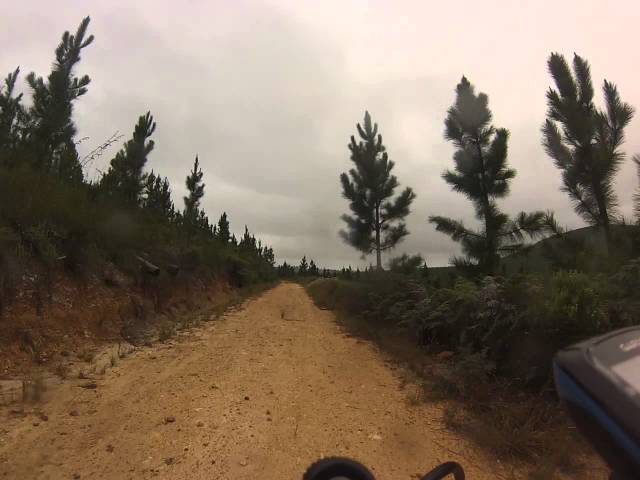 Mountainbiking in Longmore Forest - Port Elizabeth - South Africa