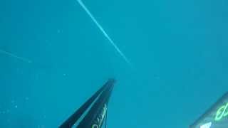 A low viz training dive for deep spearfishing at Gunner's Rock Port Elizabeth with Trevor Hutton.