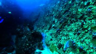 Diving Evans Peak Port Elizabeth