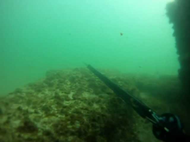 Spearfishing Cracker Six Pillars, Port Elizabeth