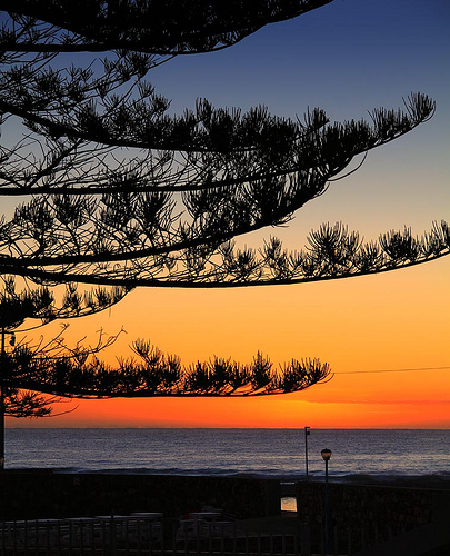 Port Elizabeth