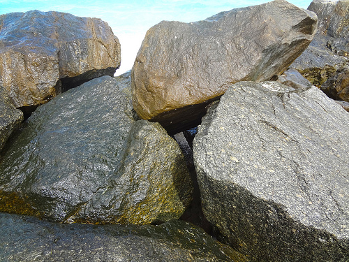 Shark Rock Pier