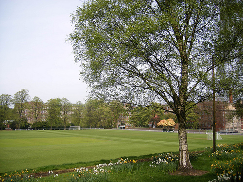 St Georges Park
