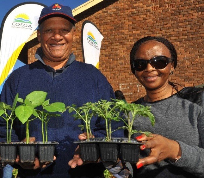 HELPING HANDS: The Coega Development Corporation (CDC) donated various seedlings, fertilizers and food parcels, as well as participated in cleaning and planting of vegetable gardens in support of Mandela Day last year (2014). CDC programme director Zine Mtanda donated seedlings to Velm Korkee (left) owner of the Bloemendal Community School Garden Programme in Port Elizabeth, last year.