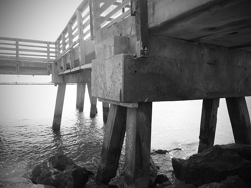 Shark Rock Pier