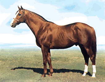 Horse Memorial