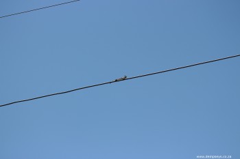 from a distance