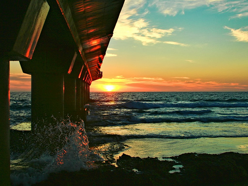 Shark Rock Pier