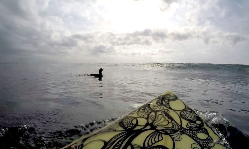 Picture