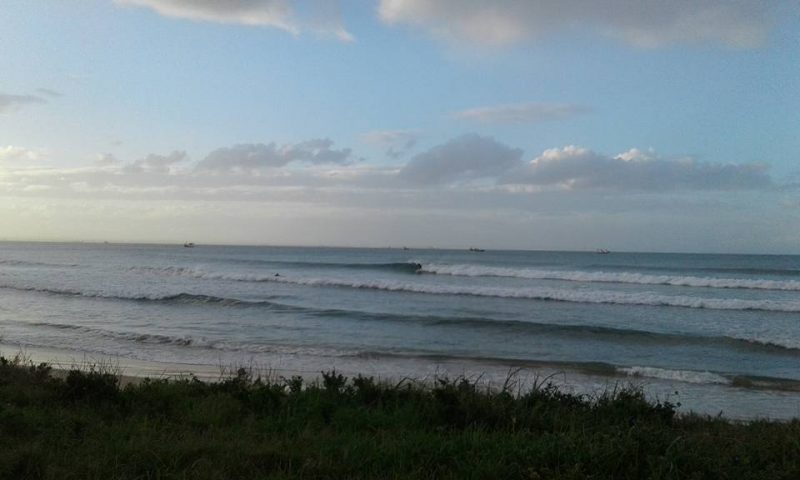Picture