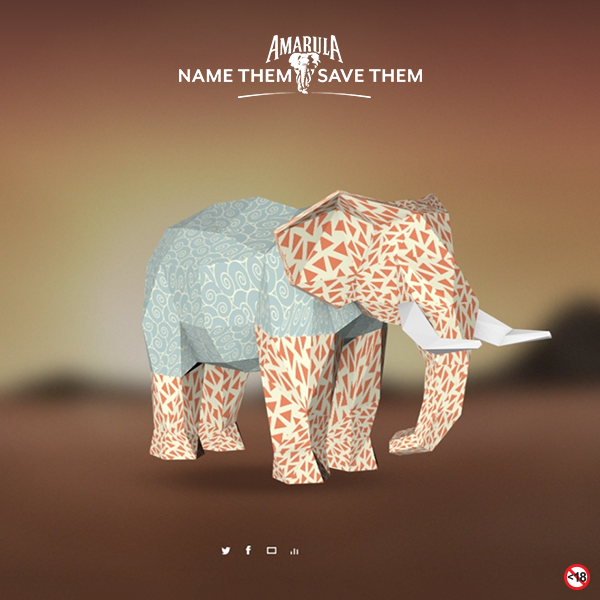 Amarula-Name-Them-Save-Them-graphic