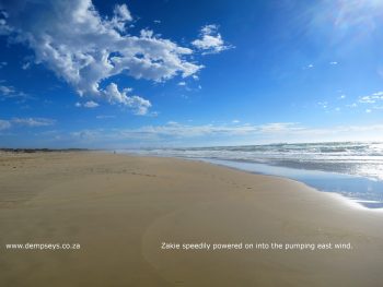 typical dramatic landscape of sa coastline