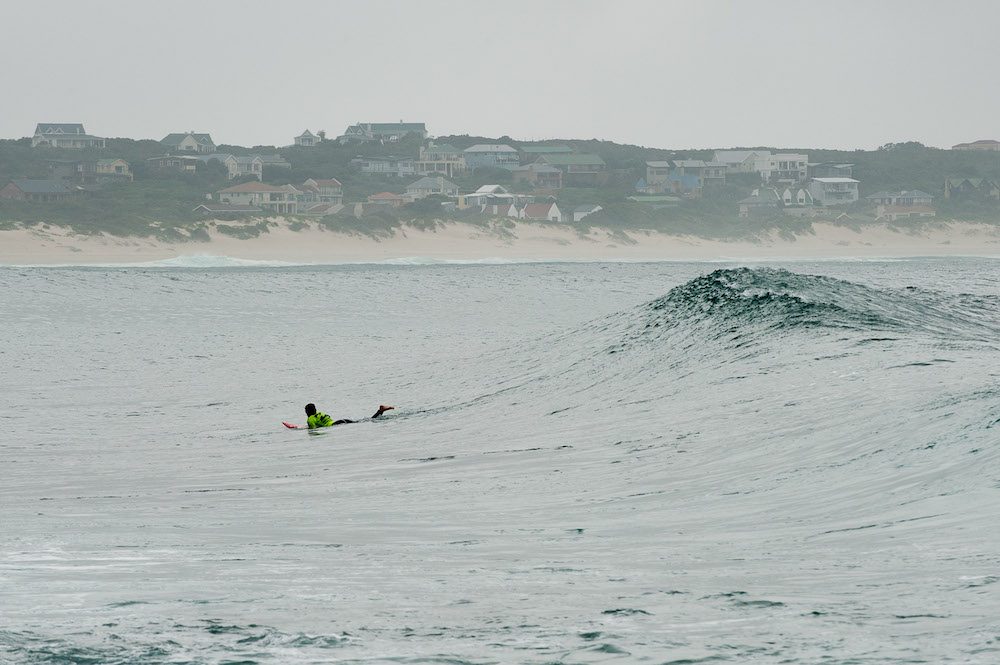 Seal Point