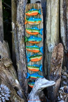 collections, bright, bold, beautiful