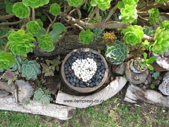 retha's trail made with love