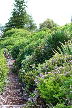 a section of retha's trail