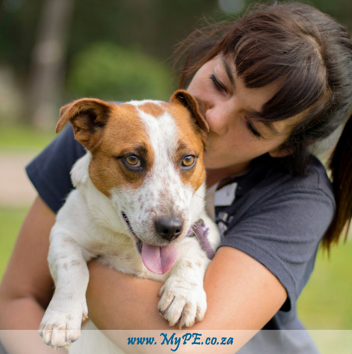 Animal Welfare Society Port Elizabeth