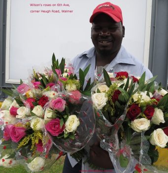 valentine's day roses 6th ave walmer