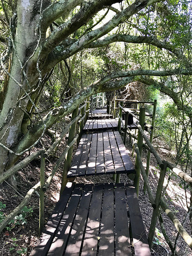Kragga Kamma Port Elizabeth