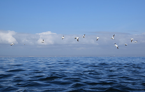 Algoa Bay