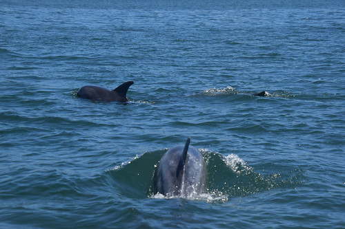 Algoa Bay