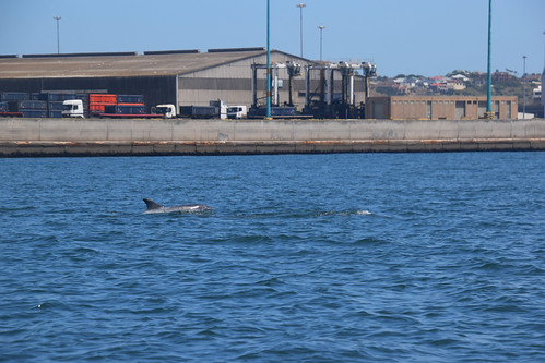Algoa Bay