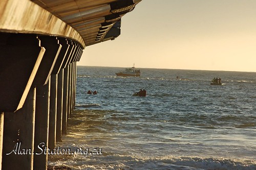 Algoa Bay