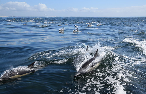 Algoa Bay