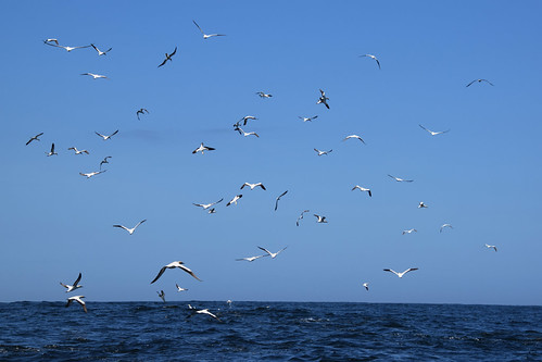Algoa Bay