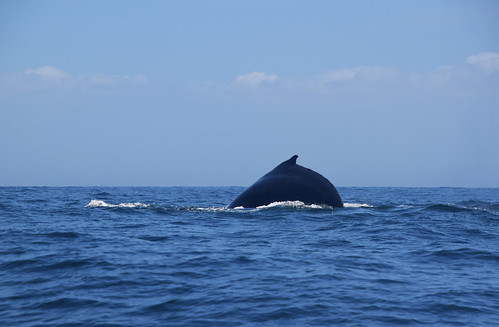 Algoa Bay