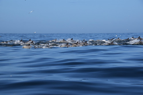 Algoa Bay
