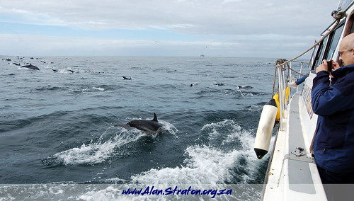 Algoa Bay