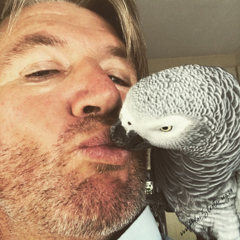 Alan Straton Parrot