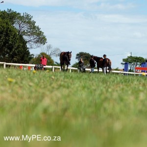 SANESA Performance Riding Arena