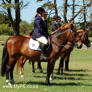 Performance Riding Winners