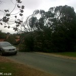 Port Elizabeth Wind