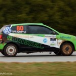 VWSA Rally 2012