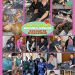 Paws 'n Claws Motherwell