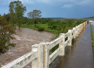 Despatch Bridge