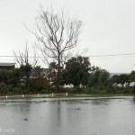 Redhouse Yacht Club